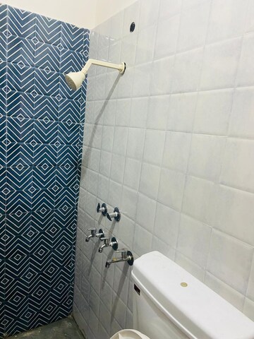 Bathroom in 2 BHK Apartment at Boutique Residential Apartments N-136, Panchsheel Park – for Rent