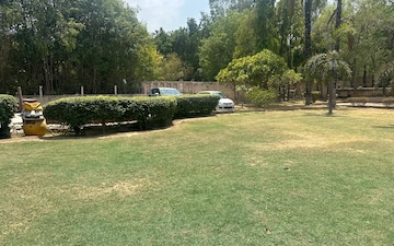 Plot For Sale in Dera Mandi