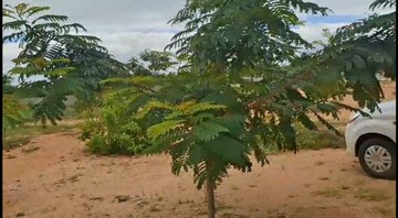  Plot – Garden View at Agapally - for Sale