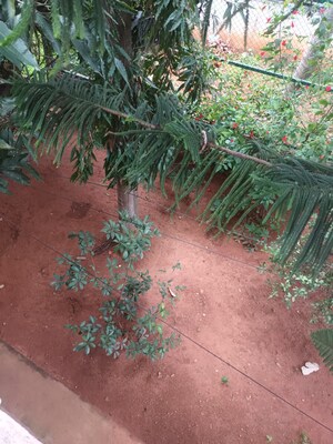 Plot Area in 3.5 BHK Independent House at Yelahanka New Town – for Sale