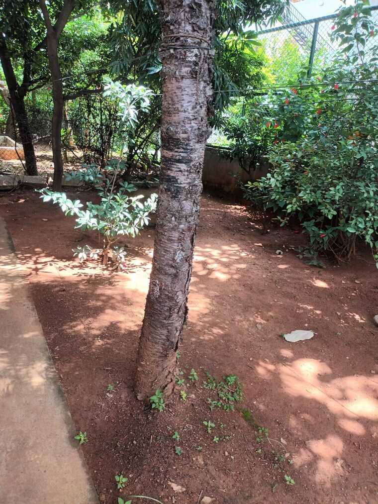 Garden, yelahanka new town 3.5 Bedroom 2440 Sq.Ft. Independent House In Yelahanka New Town Bangalore 9127570