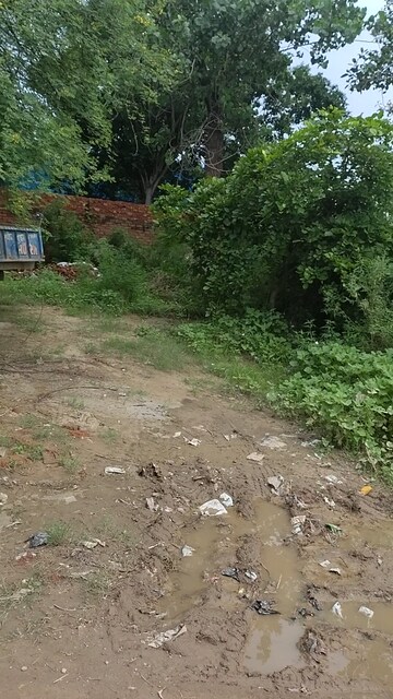 Plot Area in  Plot at Sirsa – for Sale