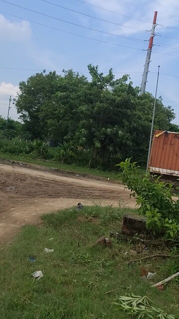 Plot Area in  Plot at Sirsa – for Sale