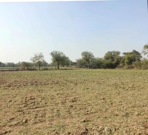  Land For Sale in Ghuma