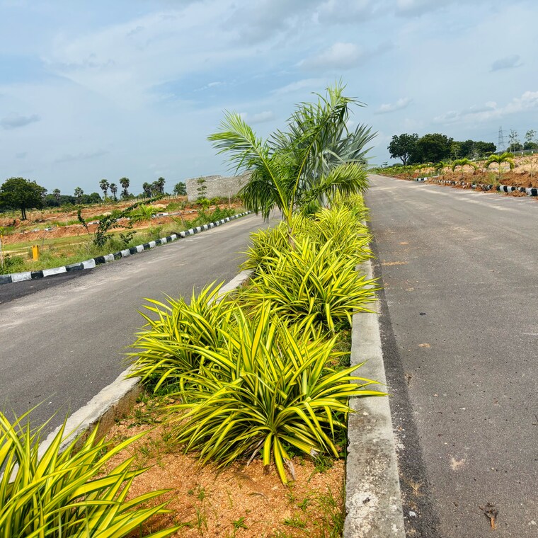 Garden, jb-nature-valley  287 Sq.Yd. Plot In Kothulapuram Hyderabad 9127784