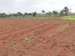 Plot Area in  Plot at Shabad – for Sale