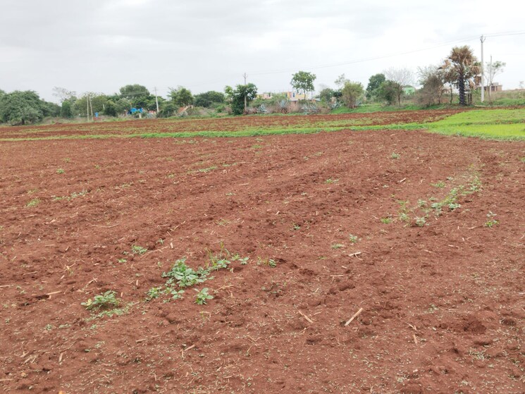 undefined, shabad  151 Sq.Yd. Plot In Shabad Hyderabad 9127789