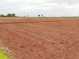 Plot Area in  Plot at Shabad – for Sale