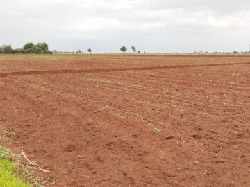 Plot Area in  Plot at Shabad – for Sale