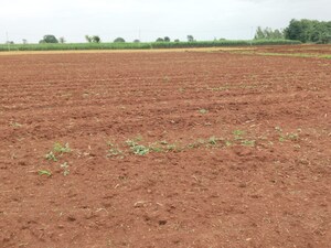 Plot Area in  Plot at Shabad – for Sale