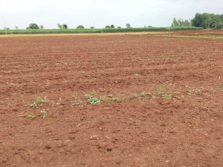 undefined, shabad  151 Sq.Yd. Plot In Shabad Hyderabad 9127789