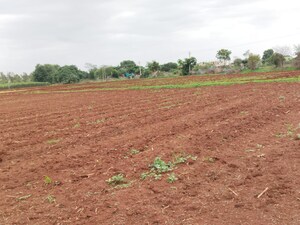 Plot Area in  Plot at Shabad – for Sale