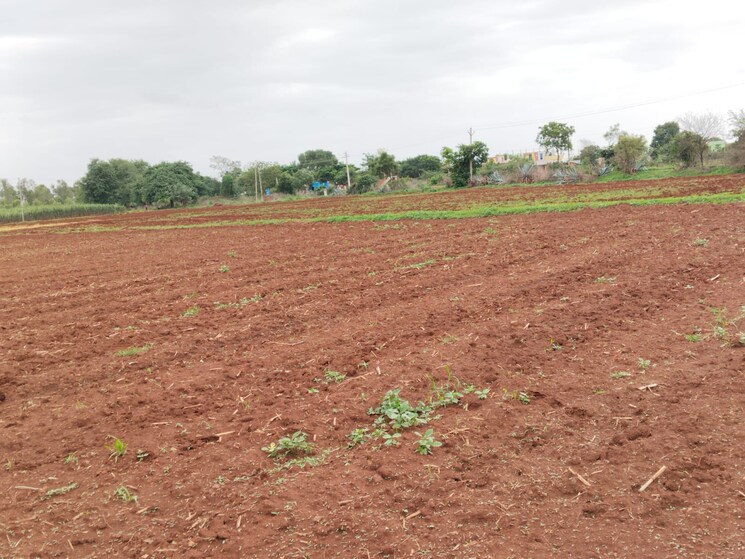 undefined, shabad  151 Sq.Yd. Plot In Shabad Hyderabad 9127789