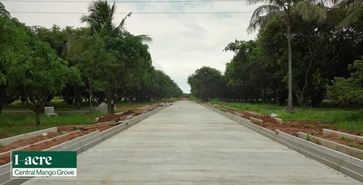 Garden, shadnagar  145 Sq.Yd. Plot In Shadnagar Hyderabad 9127792