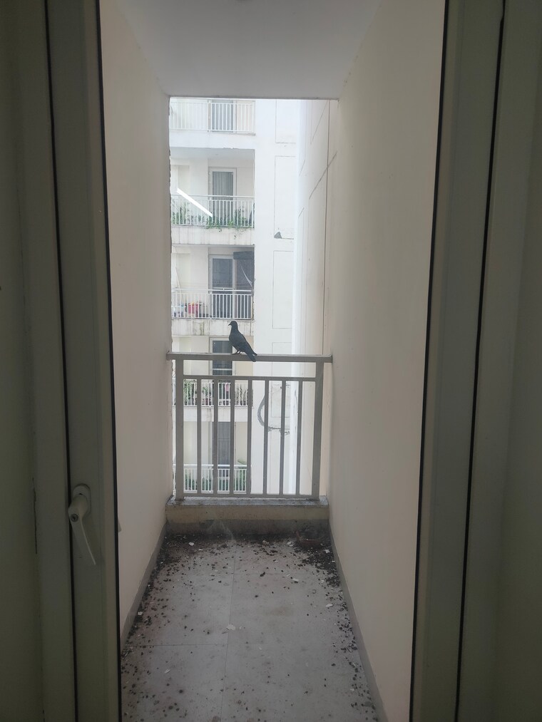 undefined, motia-blue-ridge 3 Bedroom 1721 Sq.Ft. Apartment In Dhakoli Zirakpur 9127809