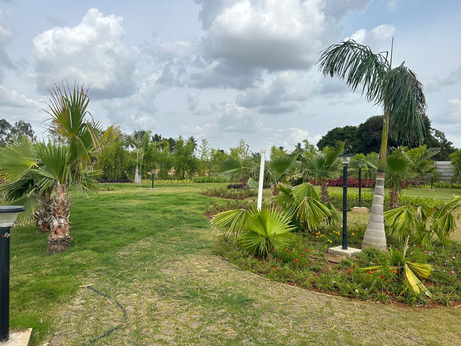 Plot For Sale in Rajanukunte