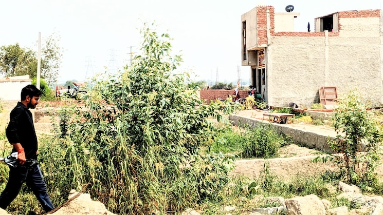 Exterior View, knowledge park ii greater noida  70 Sq.Yd. Plot In Knowledge Park Ii Greater Noida Greater Noida 9127988