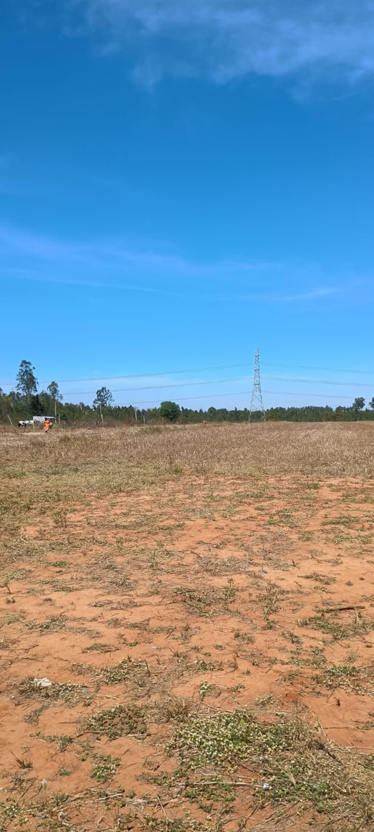 undefined, best-city-layout  1500 Sq.Ft. Plot In Rajanukunte Bangalore 9128081