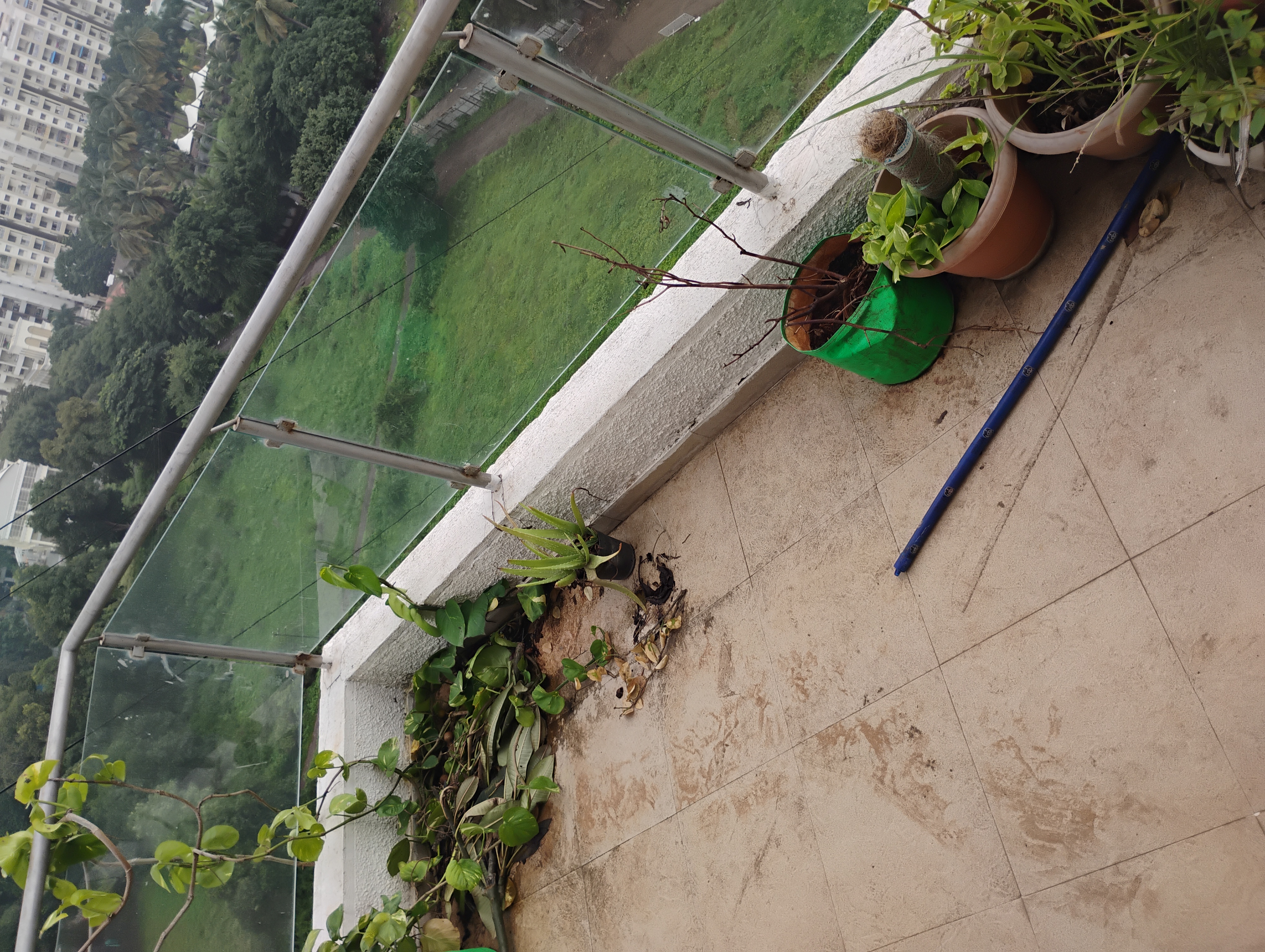 2 BHK + Servant Room Apartment For Rent in Prayeja City Phase II