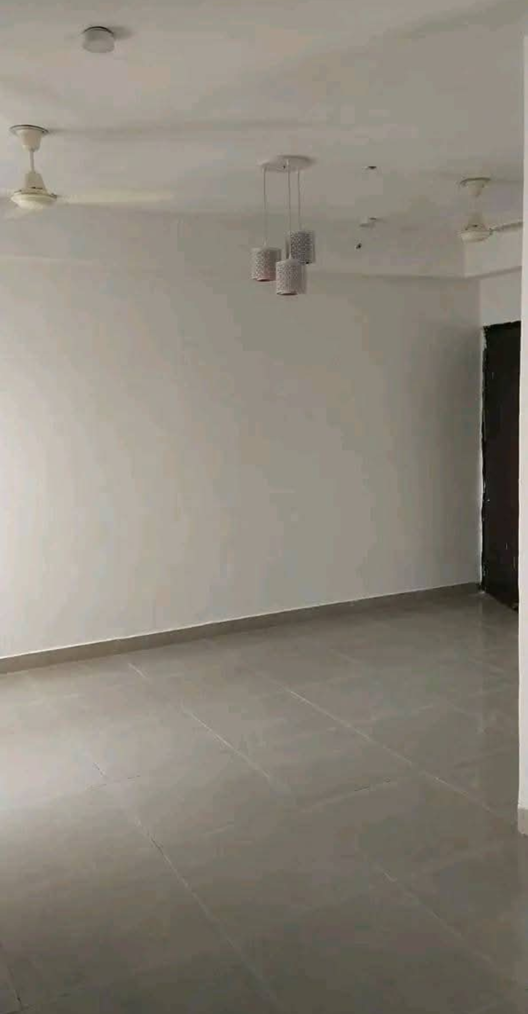 2.5 BHK + Study Room Apartment For Rent in Panchsheel Greens II