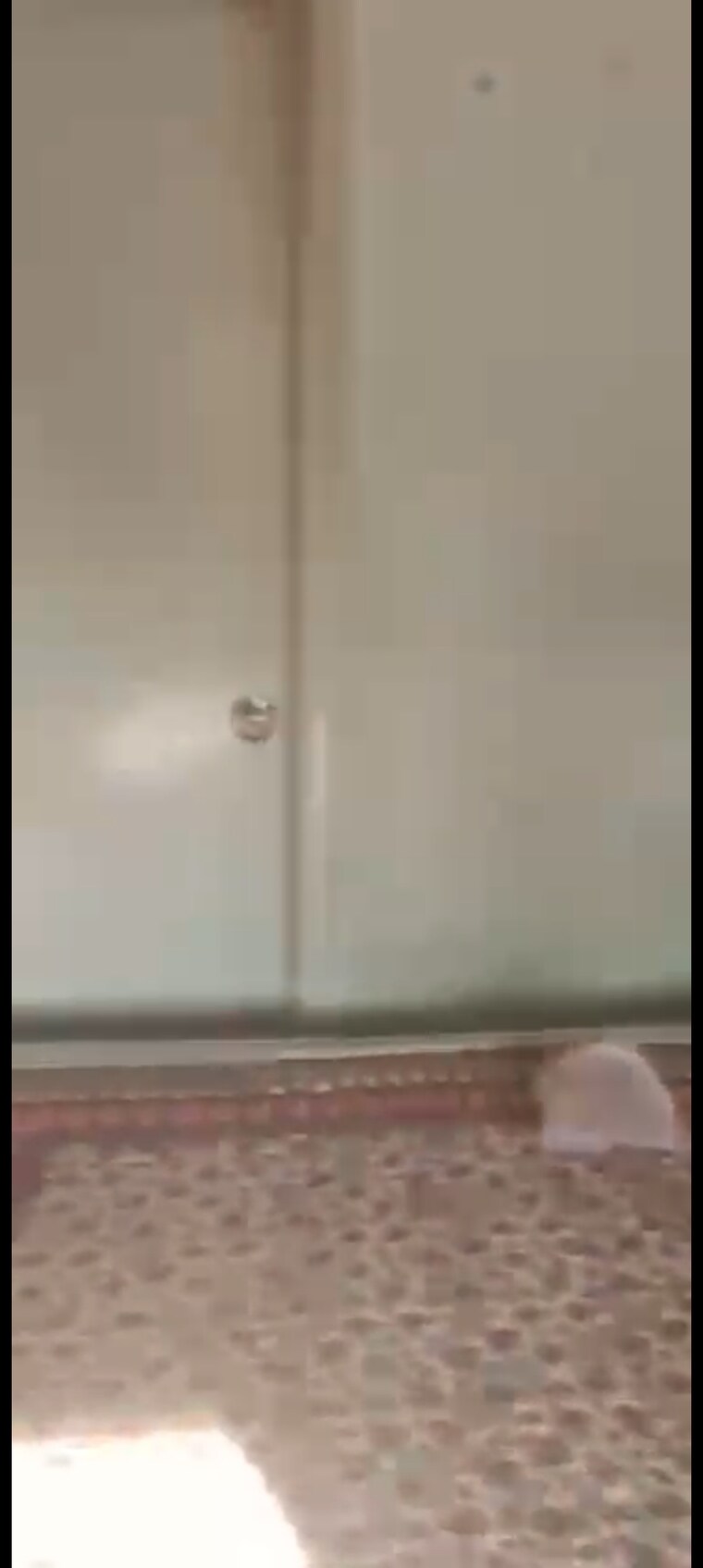 undefined, eros-sampoornam 2 Bedroom 855 Sq.Ft. Apartment In Sector 2 Greater Noida Greater Noida 9128254