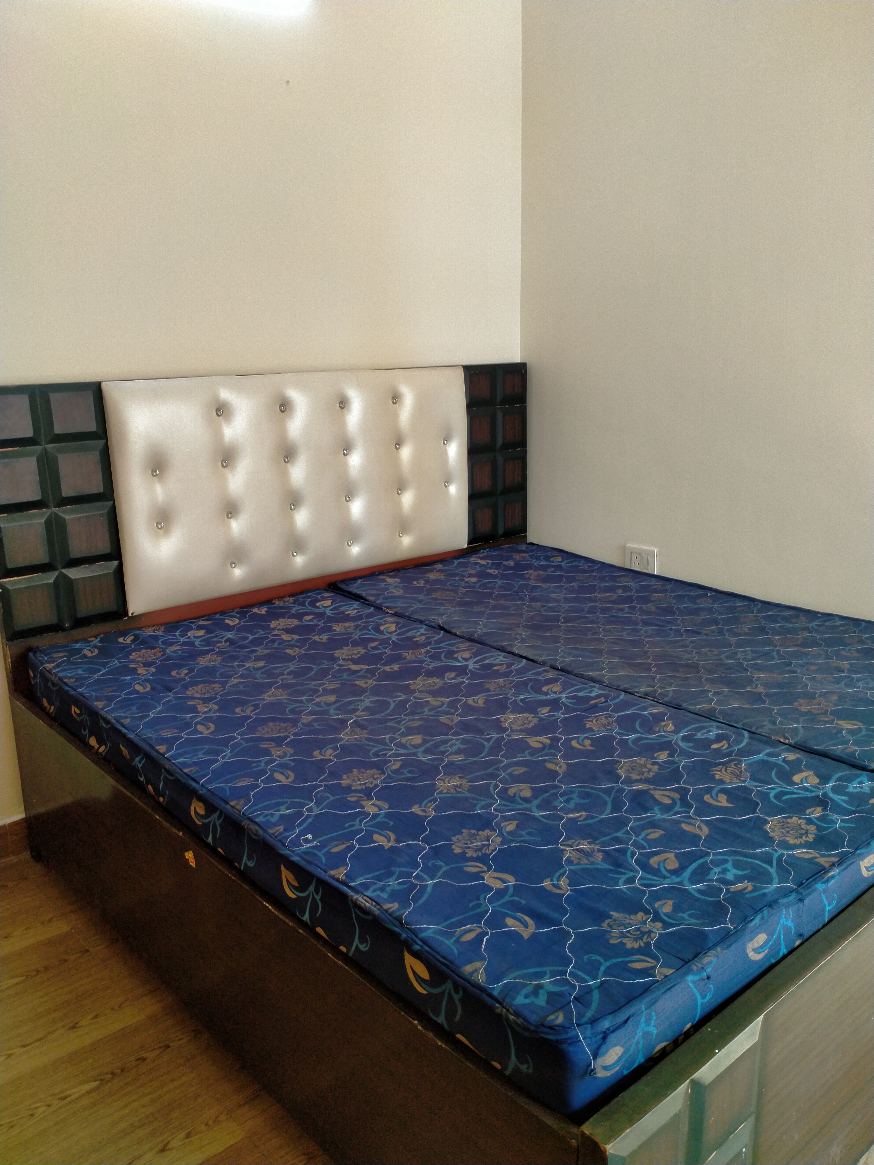 2 BHK Apartment For Rent in Tulip Lemon