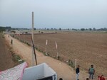 100 Sq.Yd. Plot in Sector 143