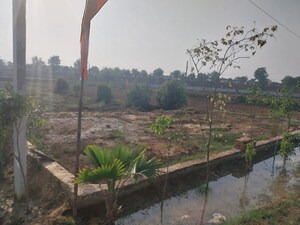 Plot Area in  Plot at Sector 143 – for Sale