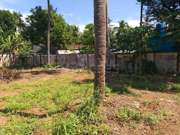 Plot Area in  Plot at Ramavarmapuram – for Sale