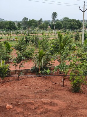 Plot Area in  Plot at Sangareddy – for Sale