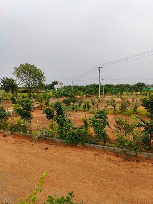 Plot Area in  Plot at Sangareddy – for Sale