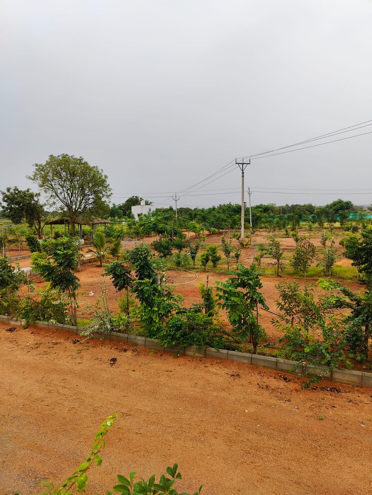 undefined, sangareddy  251 Sq.Yd. Plot In Sangareddy Hyderabad 9128641