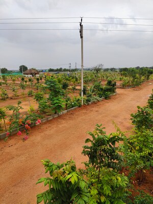 Plot Area in  Plot at Sangareddy – for Sale