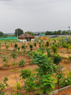 Plot Area in  Plot at Sangareddy – for Sale