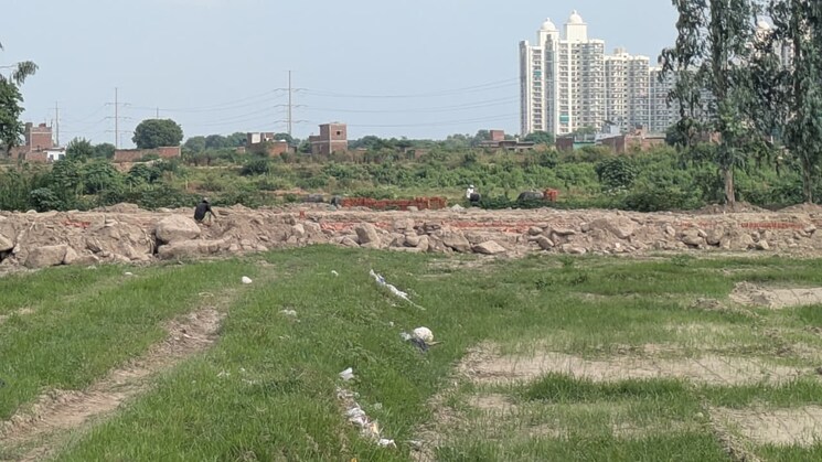 undefined, sector 142  50 Sq.Yd. Plot In Sector 142 Noida 9128700