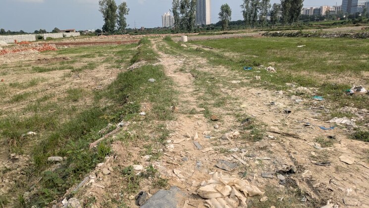 undefined, sector 142  50 Sq.Yd. Plot In Sector 142 Noida 9128700