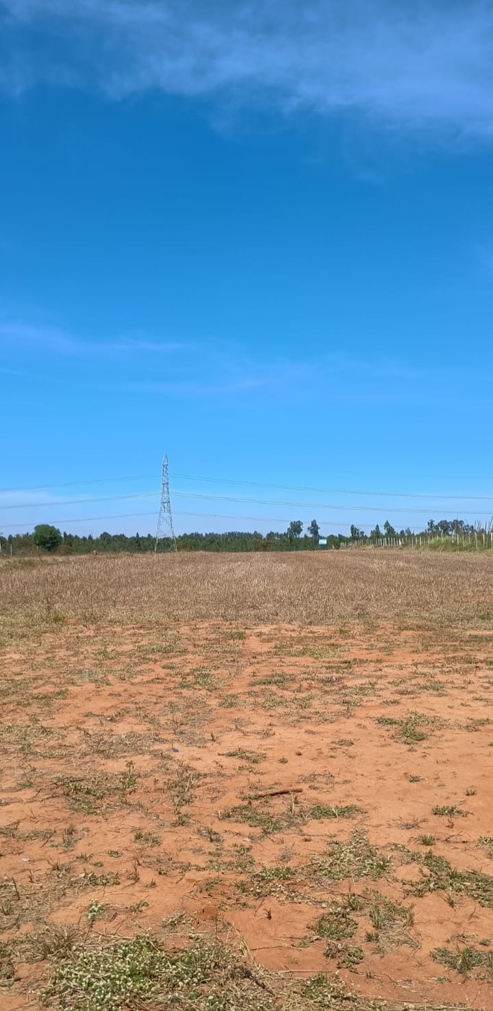 Plot For Sale in Rajanukunte