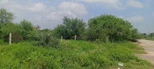 Plot Area in  Plot at Gomti Nagar – for Sale