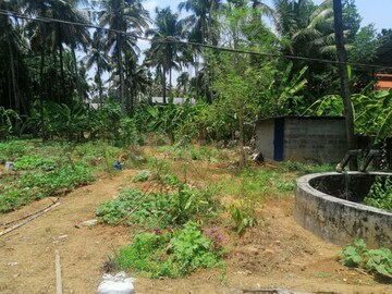 Plot Area in  Plot at Punkunnam – for Sale