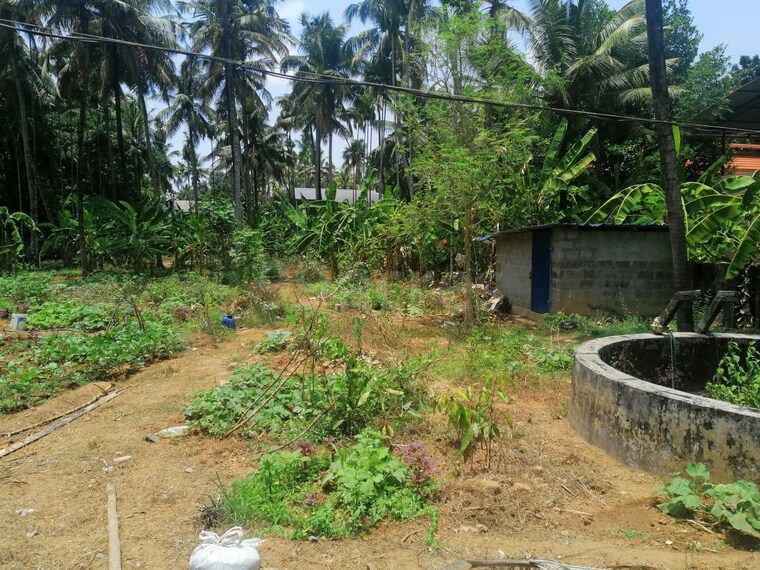 undefined, punkunnam  4792 Sq.Ft. Plot In Punkunnam Thrissur 9128984