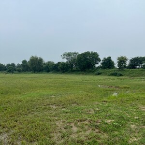  Plot For Sale in Sector 98