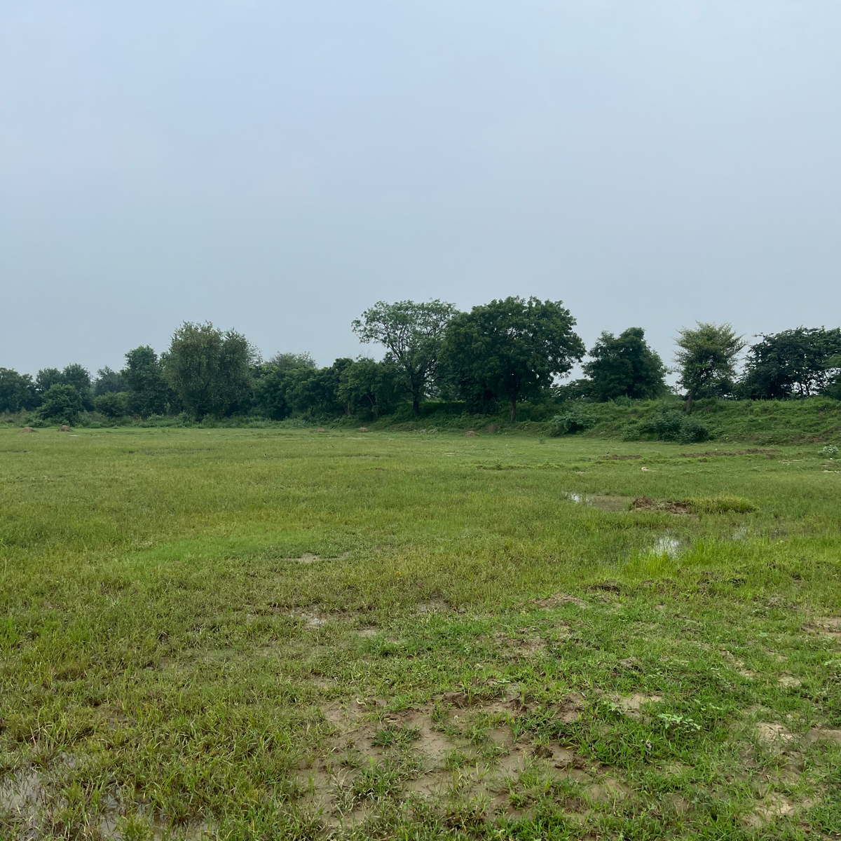 Plot For Sale in Soha Olive Town 