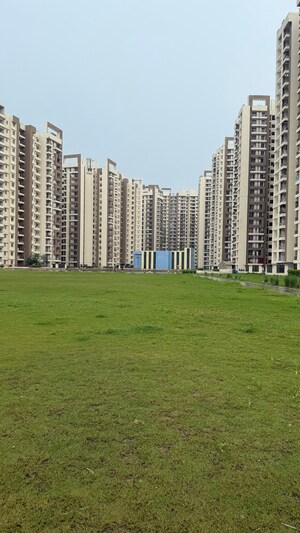 2 BHK Apartment – Exterior View View at Amrapali Golf Homes, Sector 4 Greater Noida - for Sale
