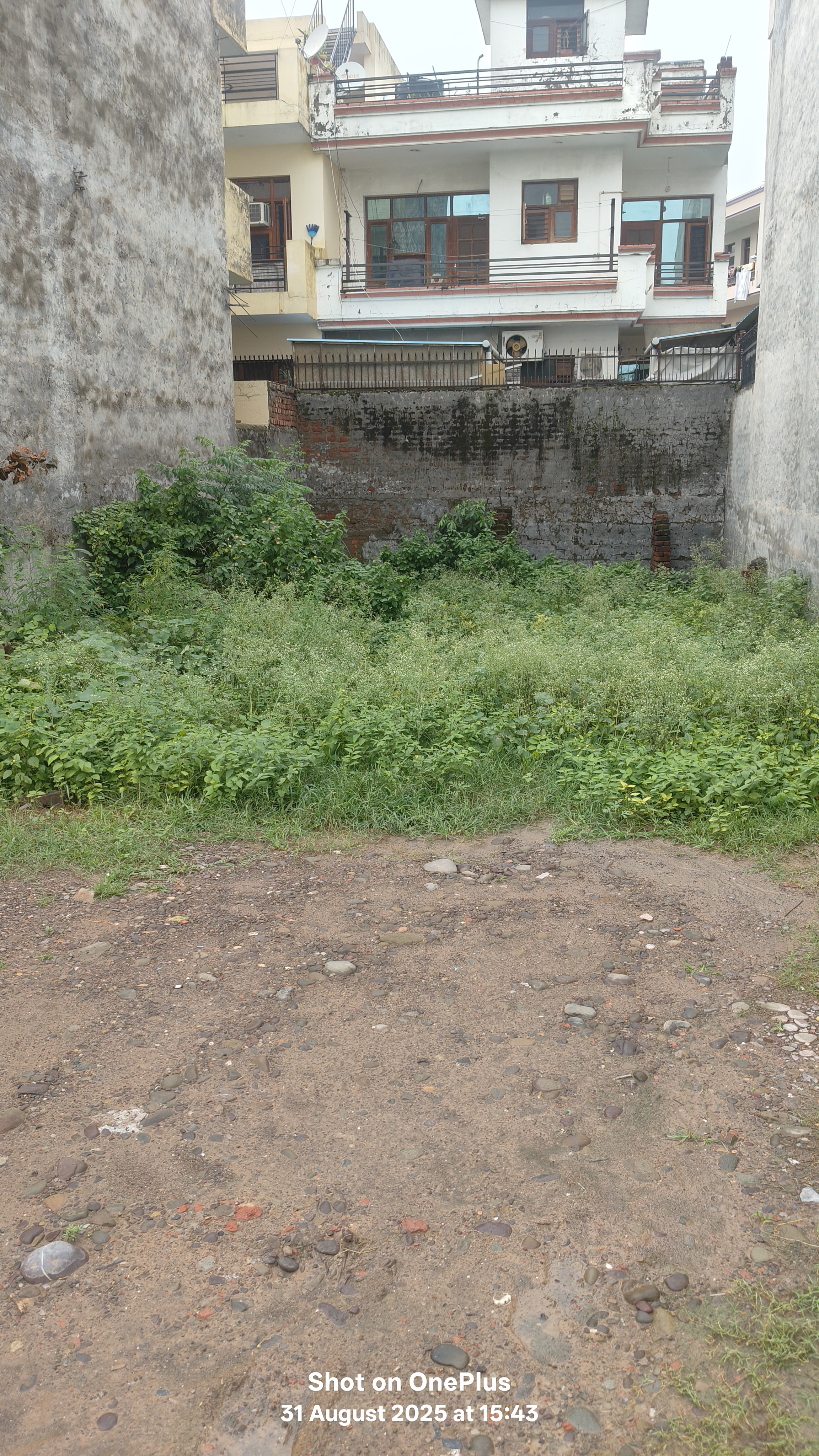 Plot For Sale in D R Estate 