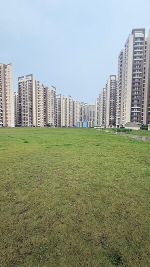 3 BHK Apartment – Exterior View View at Amrapali Golf Homes, Sector 4 Greater Noida - for Sale