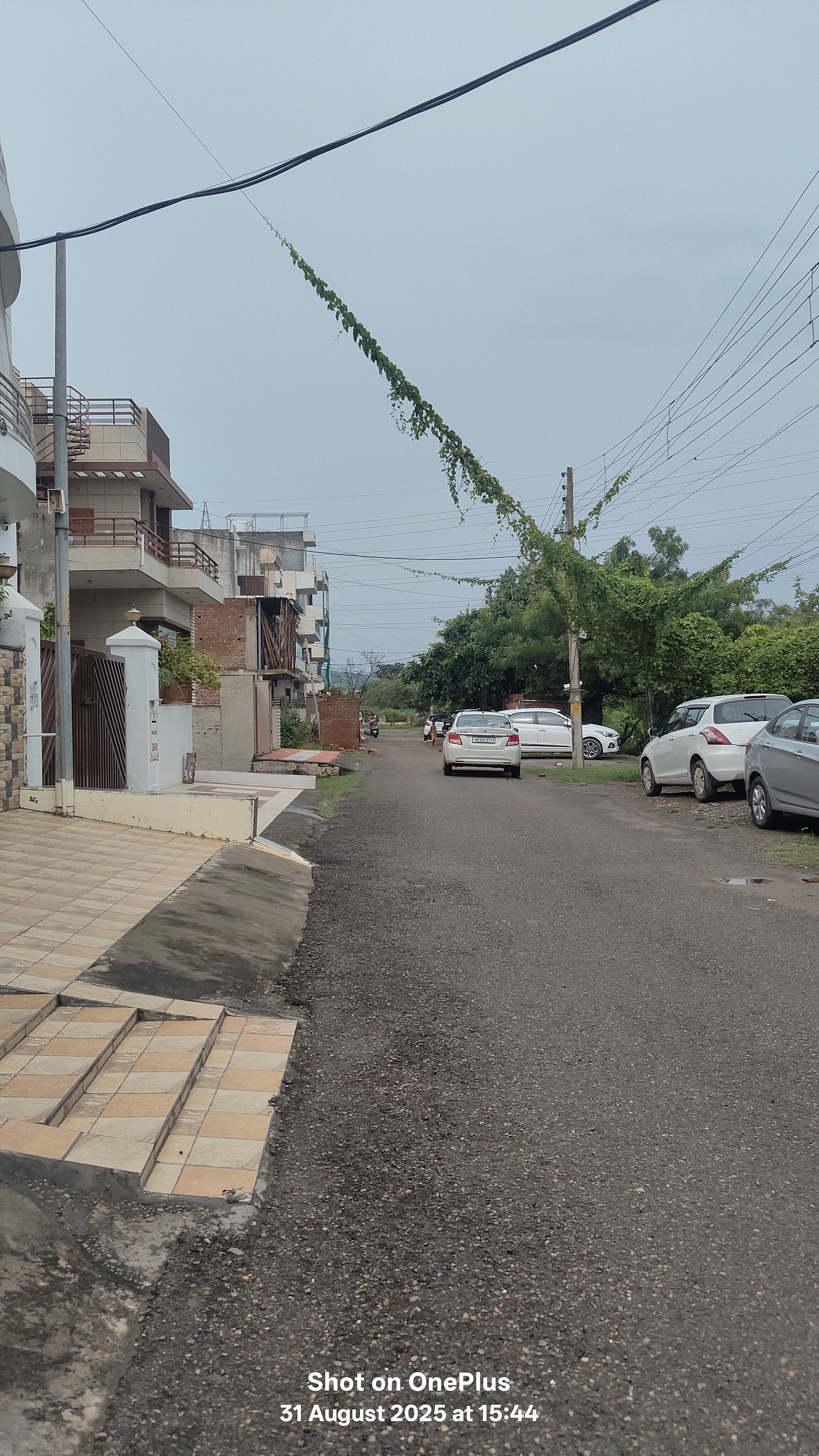 Plot For Sale in D R Estate 