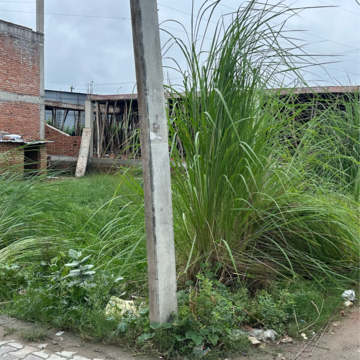  Plot For Sale in Phi Iv Greater Noida