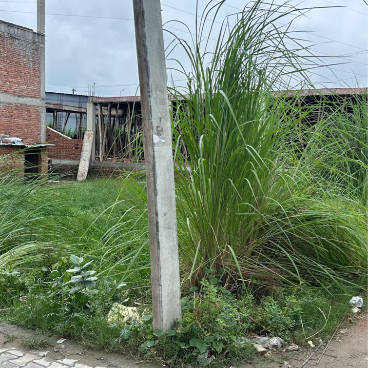 Cover Image, phi iv greater noida  250 Sq.Yd. Plot In Phi Iv Greater Noida Greater Noida 9129244