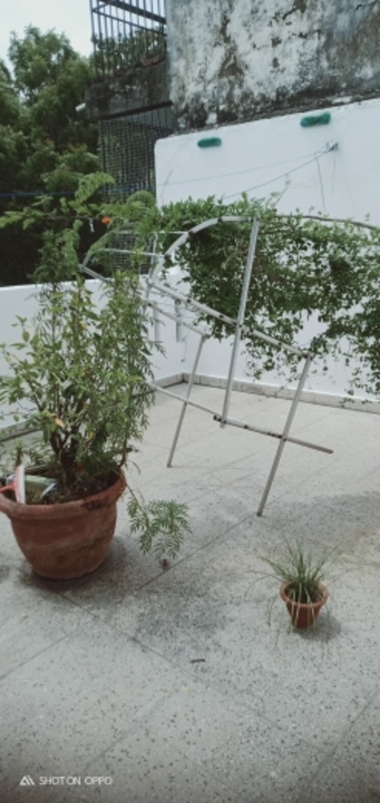 undefined, dda-rosewood-apartments 3 Bedroom 1450 Sq.Ft. Apartment In Vasant Kunj Delhi 9129287