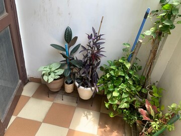Furnished Amenities in 1 BHK Builder Floor at Sector 40 – for Rent